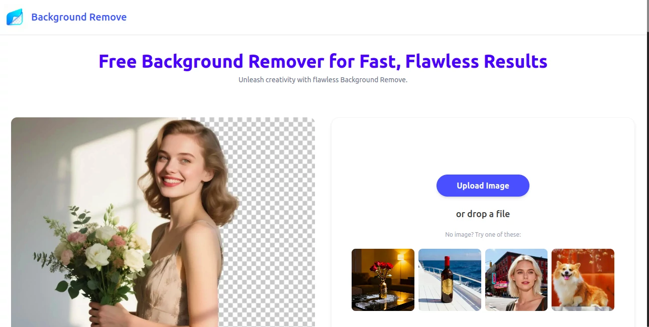 Screenshot of Background Remove – An AI tool in the ,AI Background Remover  category, showcasing its interface and key features.