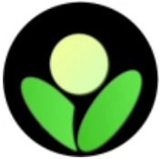 Betula AI - Your AI Assistant That Calls, Texts, Reminds, and Remembers
