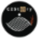 C2story - C2Story AI Picture Book Generator