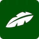 Jungle - <p>Revolutionizing Study with AI-Powered Flashcards</p>