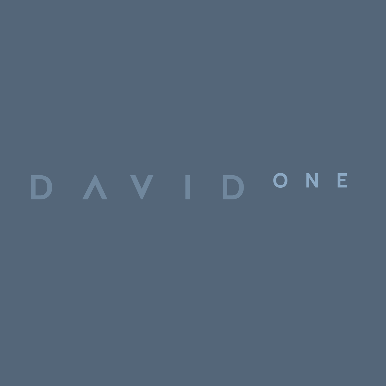 David One - <p>Your own AI powered with video understanding, web search and more

</p>