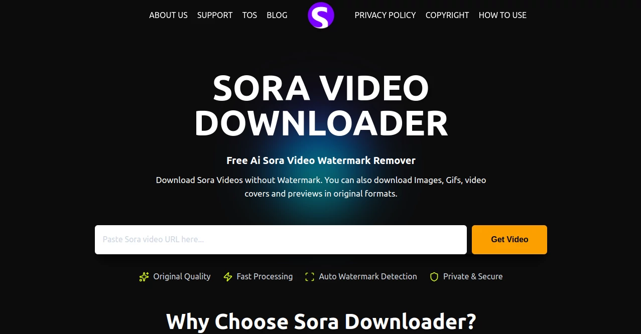 Screenshot of Sora Video Downloader – An AI tool in the ,AI Video Editor ,AI Video Enhancer ,AI UGC Video Generator ,AI Video Generator  category, showcasing its interface and key features.